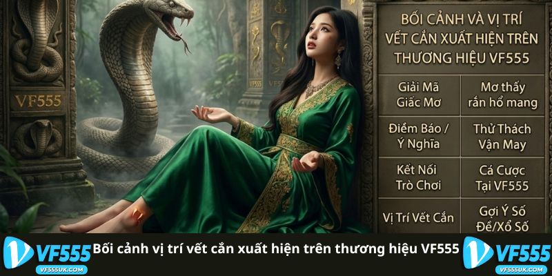Mơ Thấy Rắn Hổ Mang Cắn Đánh Con Gì Thưởng Lớn Tại VF555 2 Bối cảnh vị trí vết cắn xuất hiện trên thương hiệu VF555