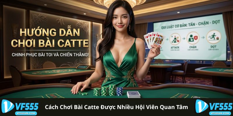 Cách Chơi Bài Catte VF555 | Bí Quyết Giữ Cái Hạ Gục Đối Thủ 1 Cách chơi bài Catte được nhiều hội viên quan tâm
